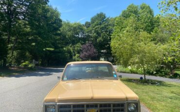 Chevrolet-silverado-c10-1978-6