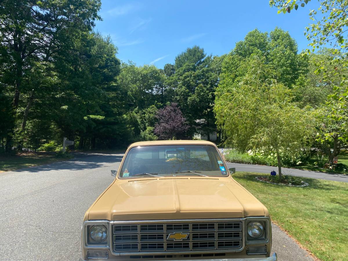 Chevrolet-silverado-c10-1978-6