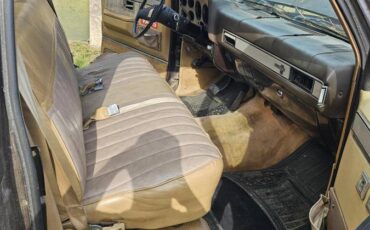 Chevrolet-silverado-c10-1986-brown-3