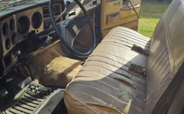 Chevrolet-silverado-c10-1986-brown-4