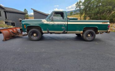 Chevrolet-silverado-hd-2500-custom-1974-4