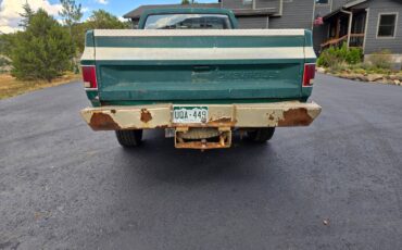 Chevrolet-silverado-hd-2500-custom-1974-6