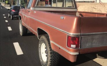 Chevrolet-silverado-k20-4x4-1978-custom-6