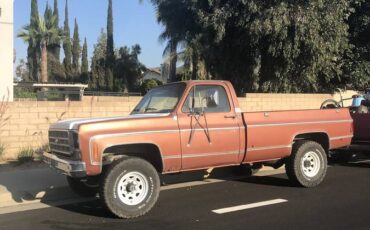 Chevrolet-silverado-k20-4x4-1978-custom-9