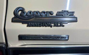 Chevrolet-silverado-r10-1987-brown-12