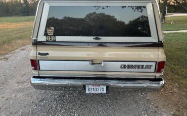Chevrolet-silverado-r10-1987-brown-2