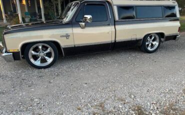 Chevrolet-silverado-r10-1987-brown