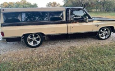Chevrolet-silverado-r10-1987-brown-4