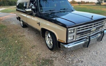 Chevrolet-silverado-r10-1987-brown-5