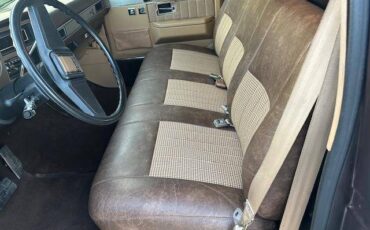 Chevrolet-silverado-r10-1987-brown-7