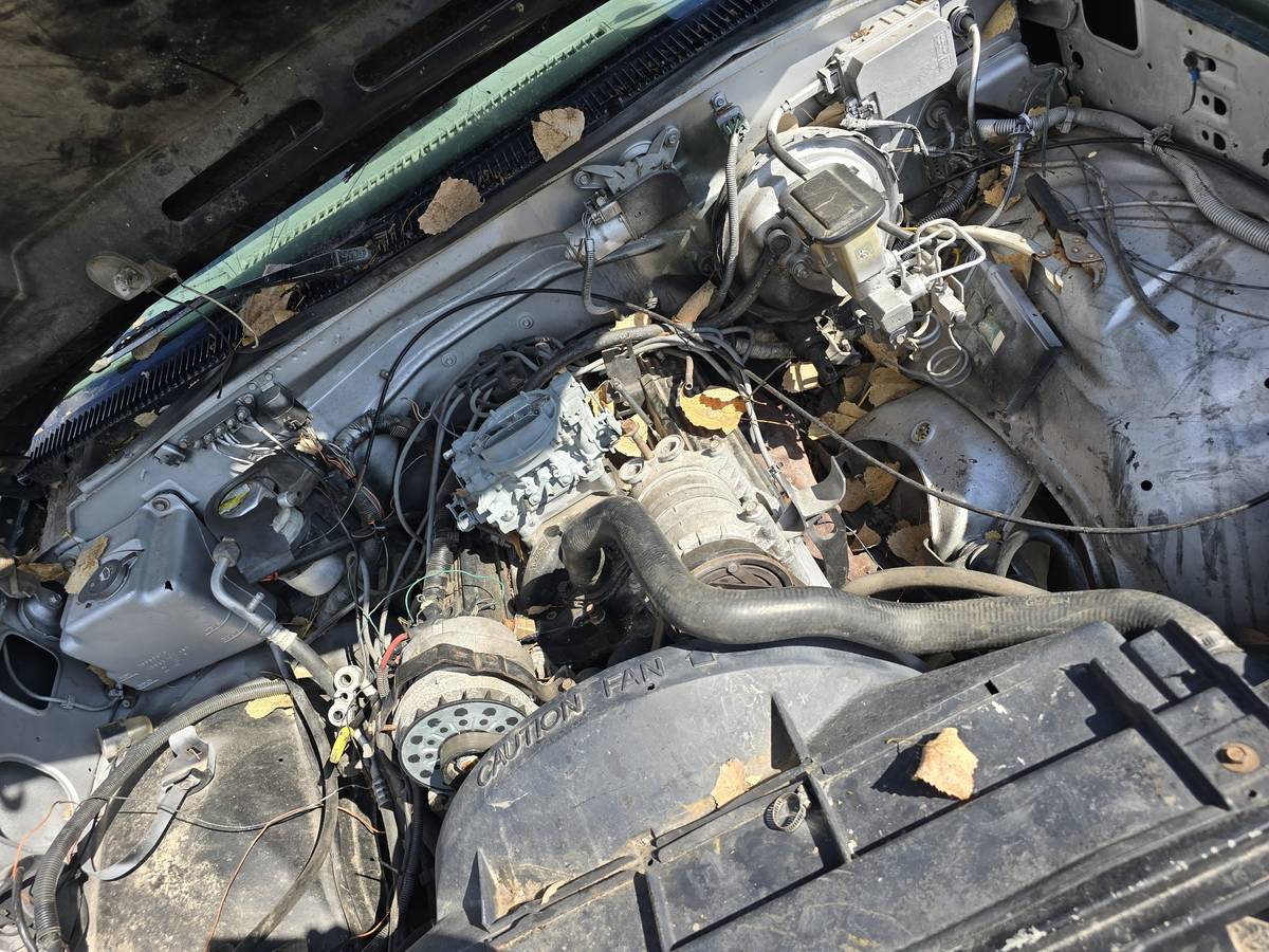 Chevrolet-stepside-1994-3