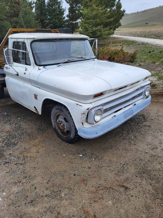 Chevy-1964-white-1