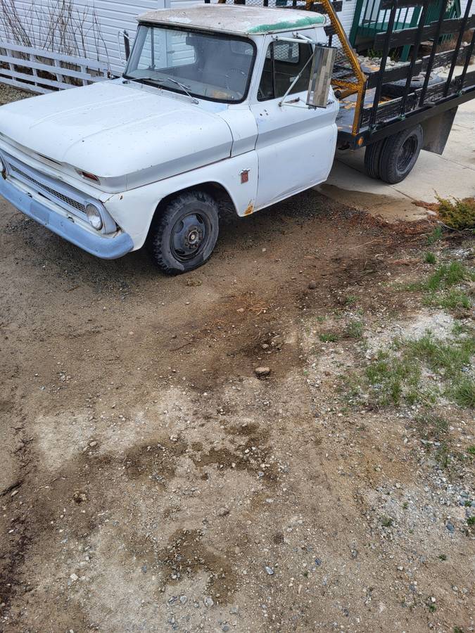 Chevy-1964-white-3