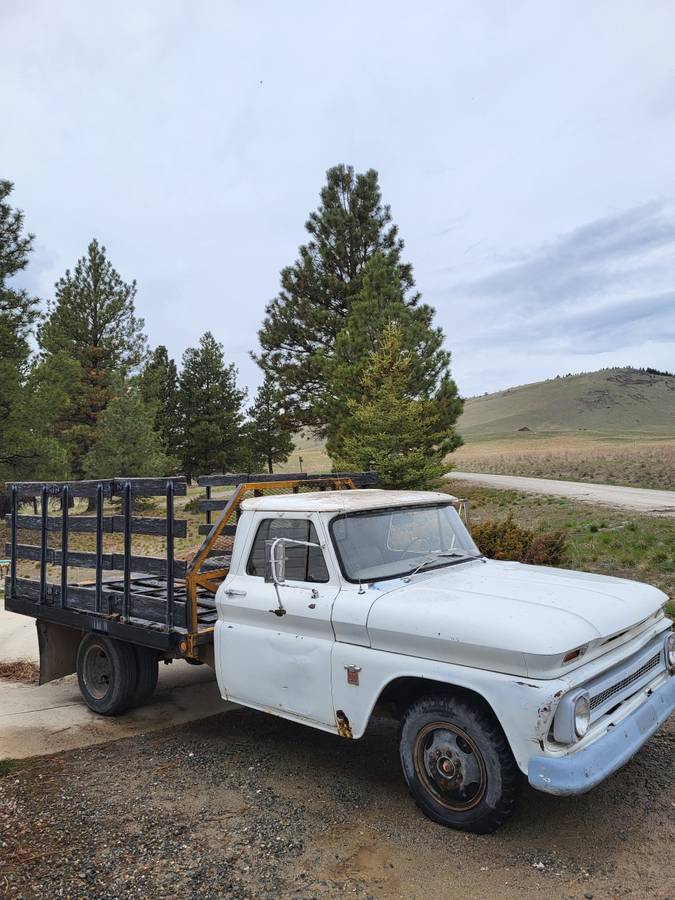 Chevy-1964-white