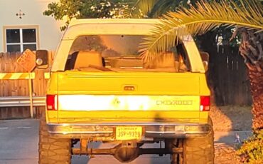 Chevy-1973-13