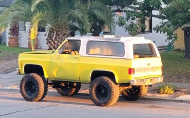 Chevy-1973-8