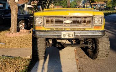 Chevy-1973-9