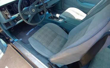 Chevy-1979-13