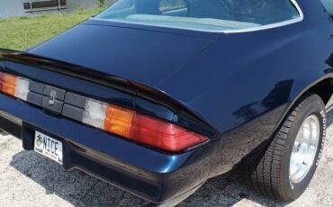 Chevy-1979-15