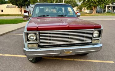 Chevy-1979-6