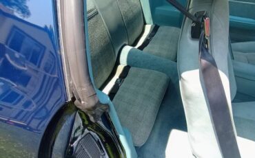 Chevy-1979-8