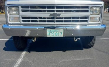 Chevy-1ton-pickup-1987-silver-5
