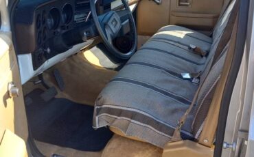 Chevy-1ton-pickup-1987-silver-6