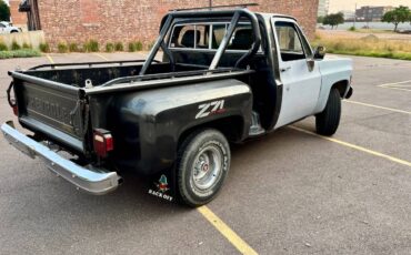 Chevy-4x4-custom-step-side-1979-18