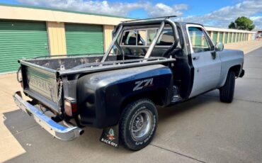 Chevy-4x4-custom-step-side-1979-2