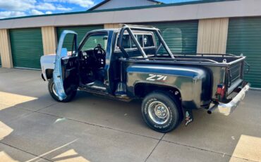 Chevy-4x4-custom-step-side-1979