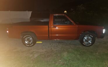 Chevy-a10-1991-3