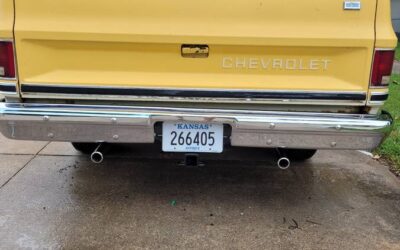 Chevy c 10 pickup 1981