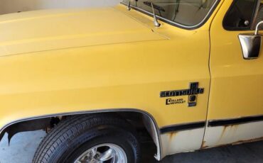 Chevy-c-10-pickup-1981-yellow-5