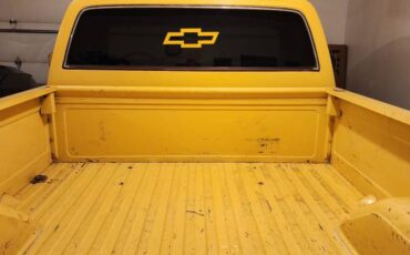 Chevy-c-10-pickup-1981-yellow-6