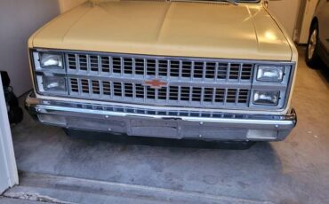 Chevy-c-10-pickup-1981-yellow-9