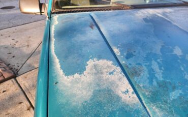 Chevy-c-1500-1995-blue-14