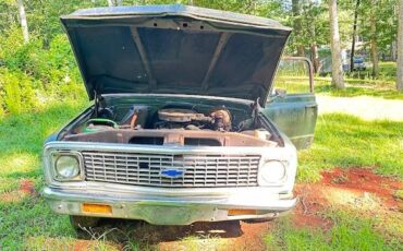 Chevy-c-20-lomg-bed-1972-green-3