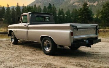 Chevy-c-20-truck-1966-grey-5