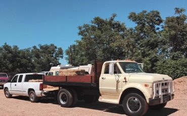 Chevy-c-50-1971-yellow-9