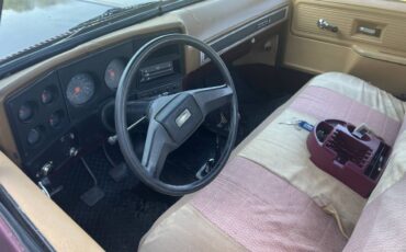 Chevy-c10-1978-5