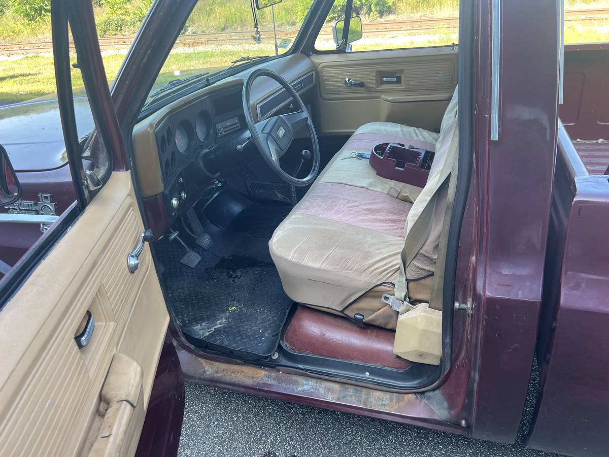 Chevy-c10-1978-6