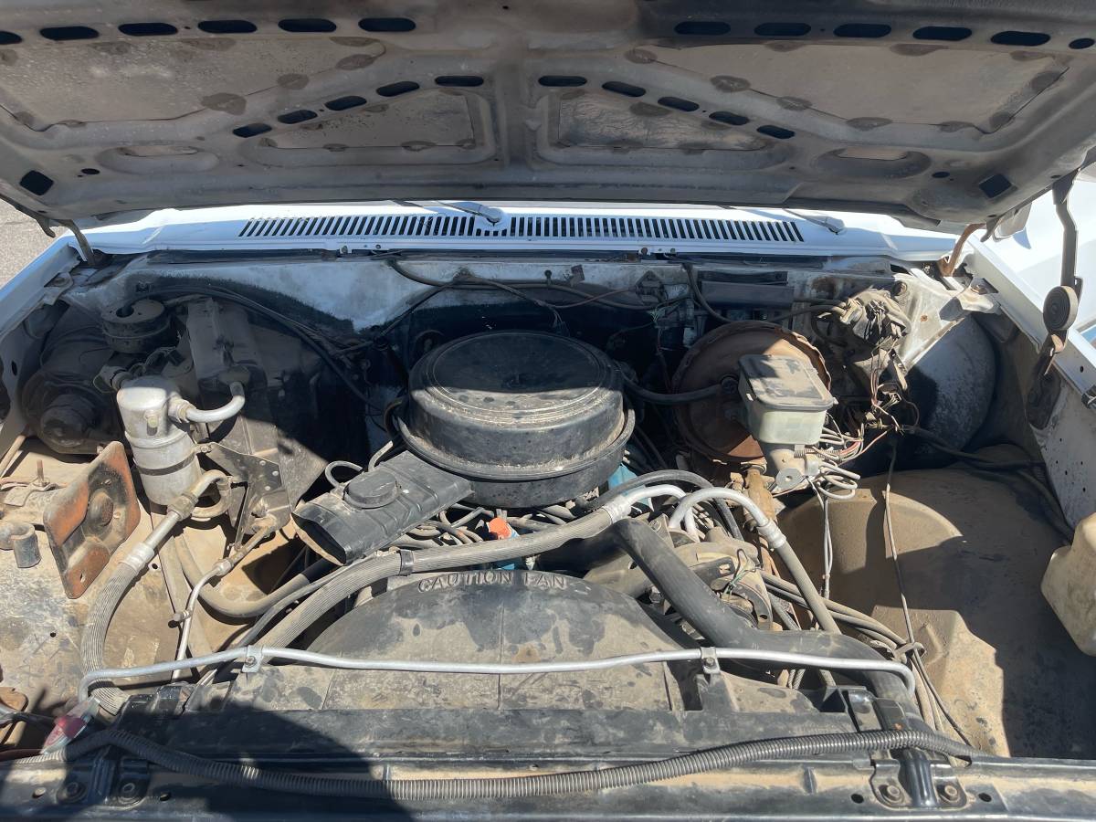 Chevy-c10-1981-white-17