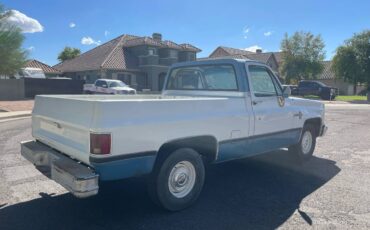Chevy-c10-1981-white-8