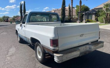 Chevy-c10-1981-white-9