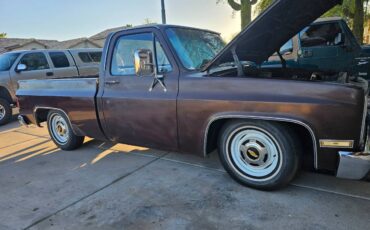 Chevy-c10-1982-5