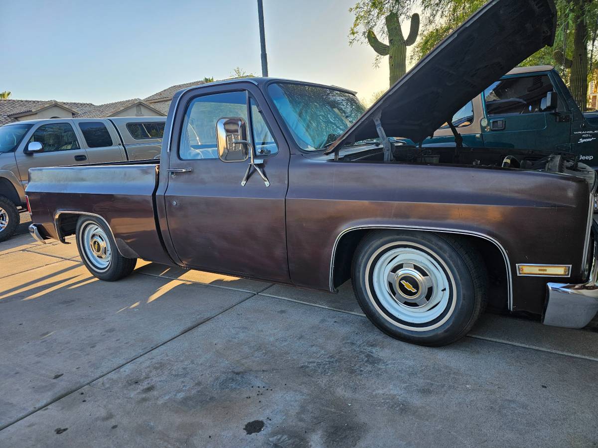 Chevy-c10-1982-5