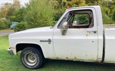 Chevy-c10-1986-orange-14