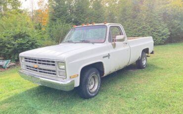 Chevy-c10-1986-orange-17