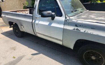 Chevy-c10-truck-1975-white-2