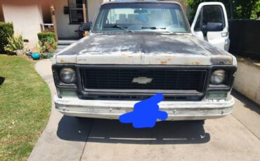 Chevy-c10-truck-1975-white-9